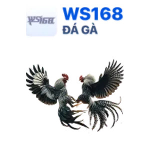 Cá cược Thể Thao tại zt9398.net